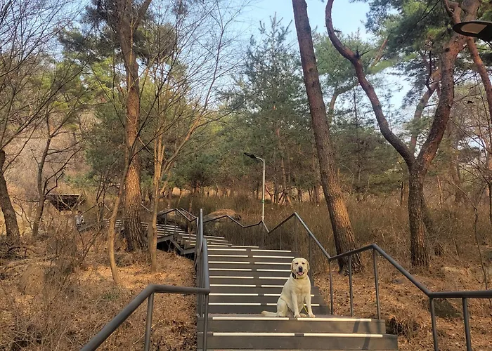 빌라 Newly Renovated Modern #11 *